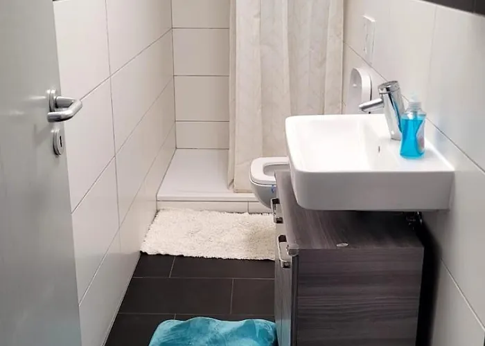 Apartment Bingen Hasengasse *